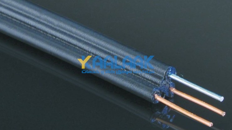 Aerial Double Wire